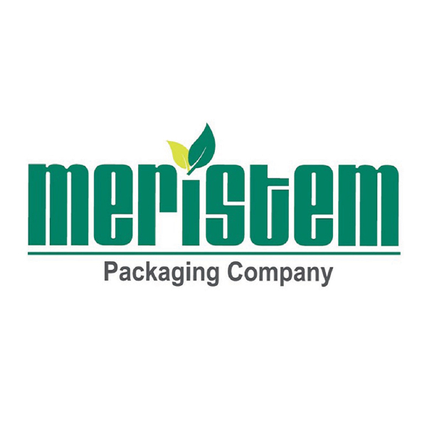 Meristem